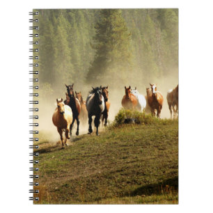 paarden op Montana ranch Notitieboek