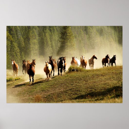 paarden op Montana ranch Poster (Voorkant)