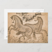 Paarden op Penmanship Briefkaart (Voorkant / Achterkant)