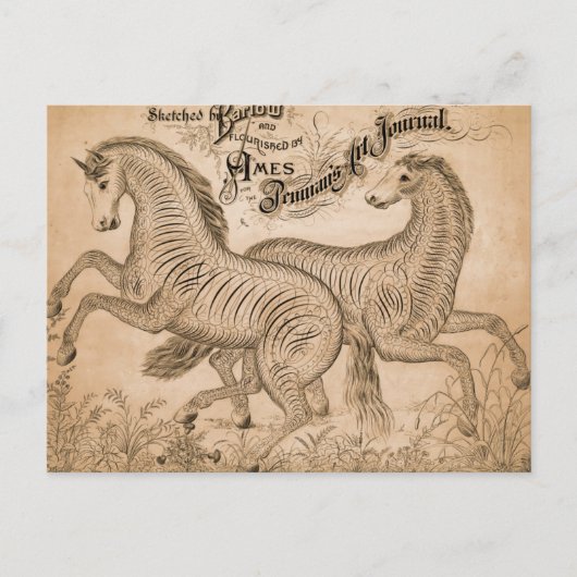 Paarden op Penmanship Briefkaart (Voorkant)