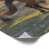 Paarden op ranch, Inner Mongolië, China Poster (Hoek)