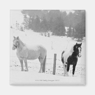 Paarden op ranch magneet