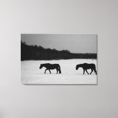 Paarden op sneeuw 36x24 (90x60cm) waccna canvas afdruk (Voorkant)