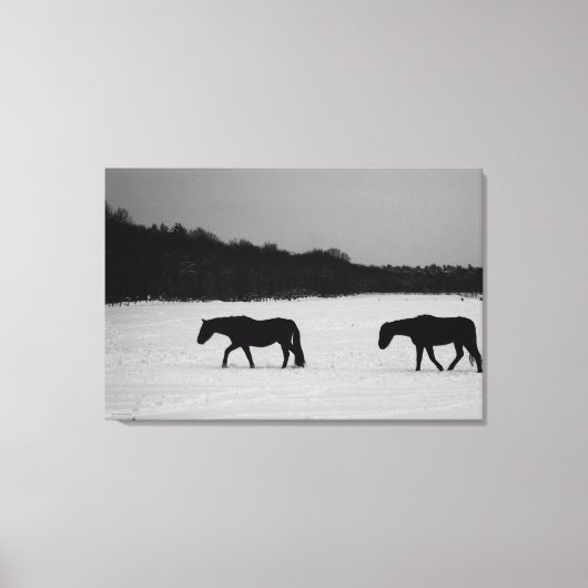 Paarden op sneeuw 36x24 (90x60cm) waccna canvas afdruk (Voorkant)