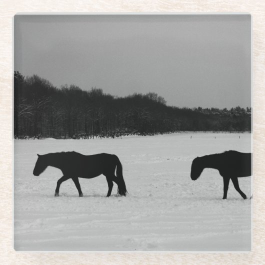Paarden op sneeuw coastercnm glazen onderzetter (Voorkant)