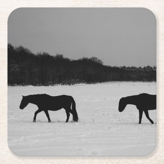 Paarden op sneeuw coastercnm kartonnen onderzetters (Voorkant)