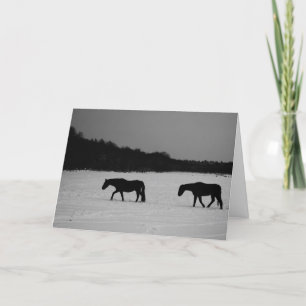 Paarden op sneeuw gccna kaart