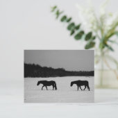 Paarden op sneeuw pccna briefkaart (Staand voorkant)