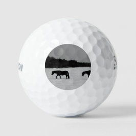 Paarden op sneeuw ssf gbcnm golfballen