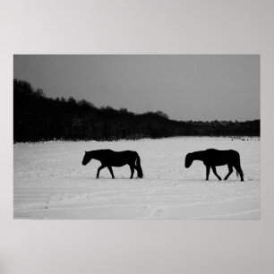 Paarden op sneeuwwapn poster