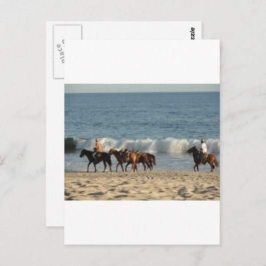 Paarden op strand briefkaart (Voorkant / Achterkant)