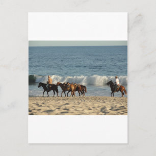 Paarden op strand briefkaart
