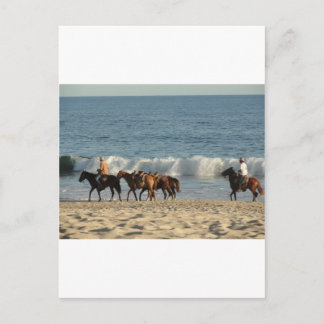 Paarden op strand briefkaart