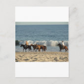 Paarden op strand briefkaart (Voorkant)