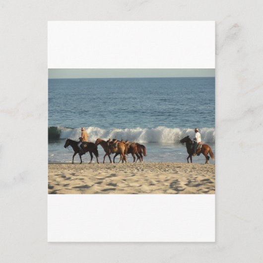 Paarden op strand briefkaart (Voorkant)