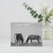 Paarden op walvisgebied #2 briefkaart (Staand voorkant)