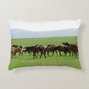 Paarden op weide - Landschapsfoto Accent Kussen