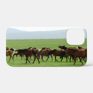 Paarden op weide - Landschapsfoto iPhone 12 Mini Hoesje