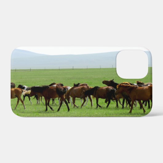 Paarden op weide - Landschapsfoto Case-Mate iPhone Case (Achterkant (horizontaal))