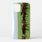 Paarden op weide - Landschapsfoto Case-Mate iPhone Case (Achterkant)