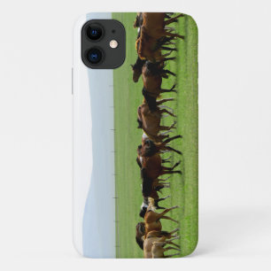 Paarden op weide - Landschapsfoto iPhone 11 Hoesje