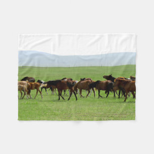 Paarden op weide - Landschapsfoto Fleece Deken