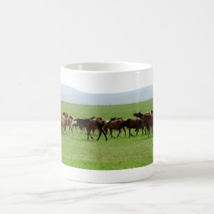 Paarden op weide - Landschapsfoto Koffiemok