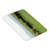 Paarden op weide - Landschapsfoto Magneet (Rechterzijde)