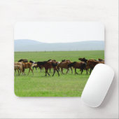 Paarden op weide - Landschapsfoto Muismat (Met muis)