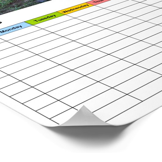 Paarden op weide / Tijdschema Poster (Hoek)