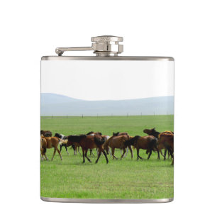 Paarden op Weiland - Landschapsfoto Heupfles