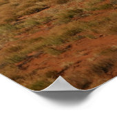 Paarden op Western bereik Poster (Hoek)