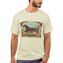 Paarden op wielen met paardenraces