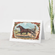 Paarden op wielen - paardenraces