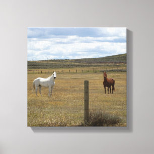 Paarden op Wyoming Canvas Afdruk