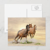 Paarden op zonsondergang briefkaart (Voorkant / Achterkant)