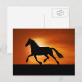 Paarden op zonsondergang briefkaart (Voorkant / Achterkant)
