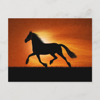 Paarden op zonsondergang briefkaart