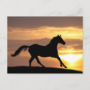 Paarden op zonsondergang briefkaart