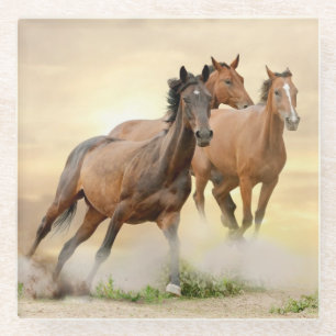 Paarden op zonsondergang glazen onderzetter