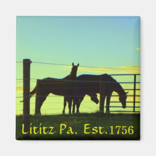 Paarden op zonsondergang in Lititz Pa. Magneet