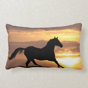 Paarden op zonsondergang kussen