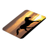 Paarden op zonsondergang magneet (Linkerzijde)