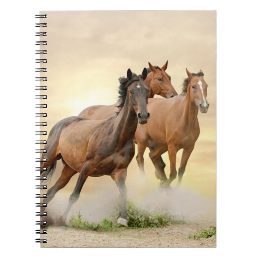 Paarden op zonsondergang notitieboek (Voorkant)