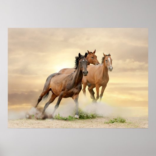 Paarden op zonsondergang poster (Voorkant)