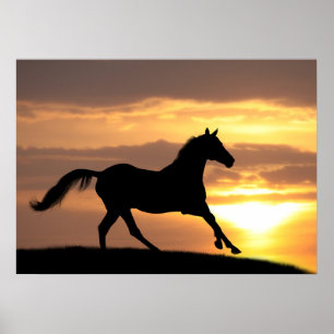 Paarden op zonsondergang poster