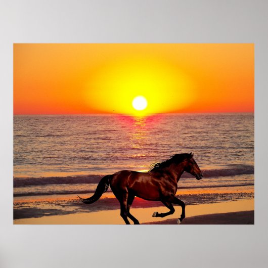 Paarden op zonsondergang poster (Voorkant)
