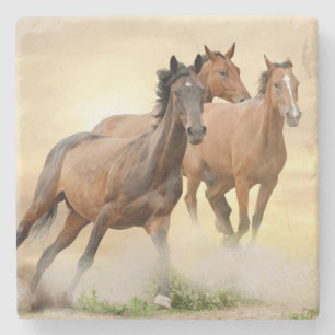Paarden op zonsondergang stenen onderzetter