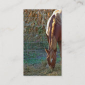 Paarden op zonsondergang visitekaartje (Achterkant)
