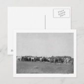 Paarden opgehangen door Cowboys Foto Briefkaart (Voorkant / Achterkant)